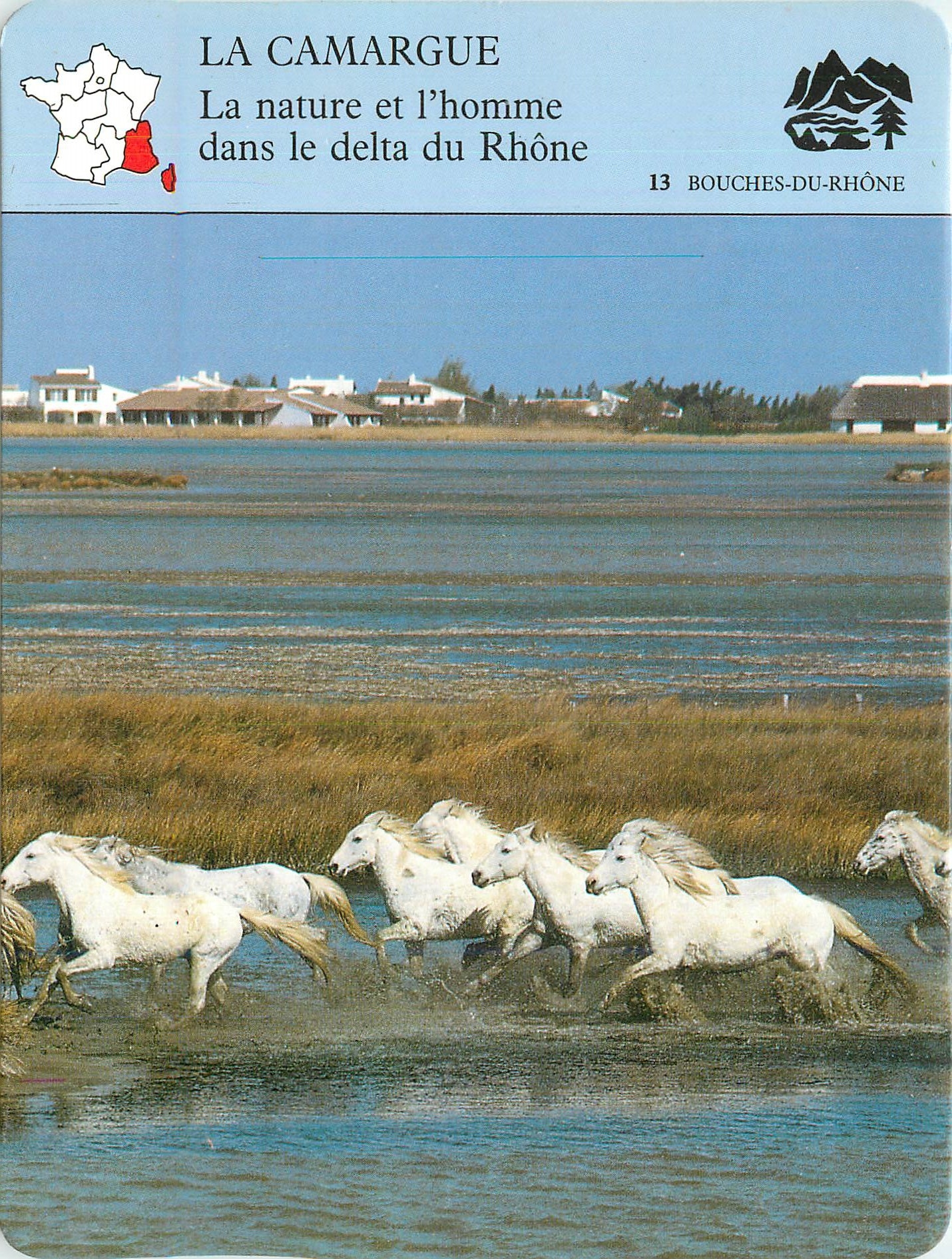 Fiche illustree La Camargue La nature et l'homme dans le delta du Rhone 