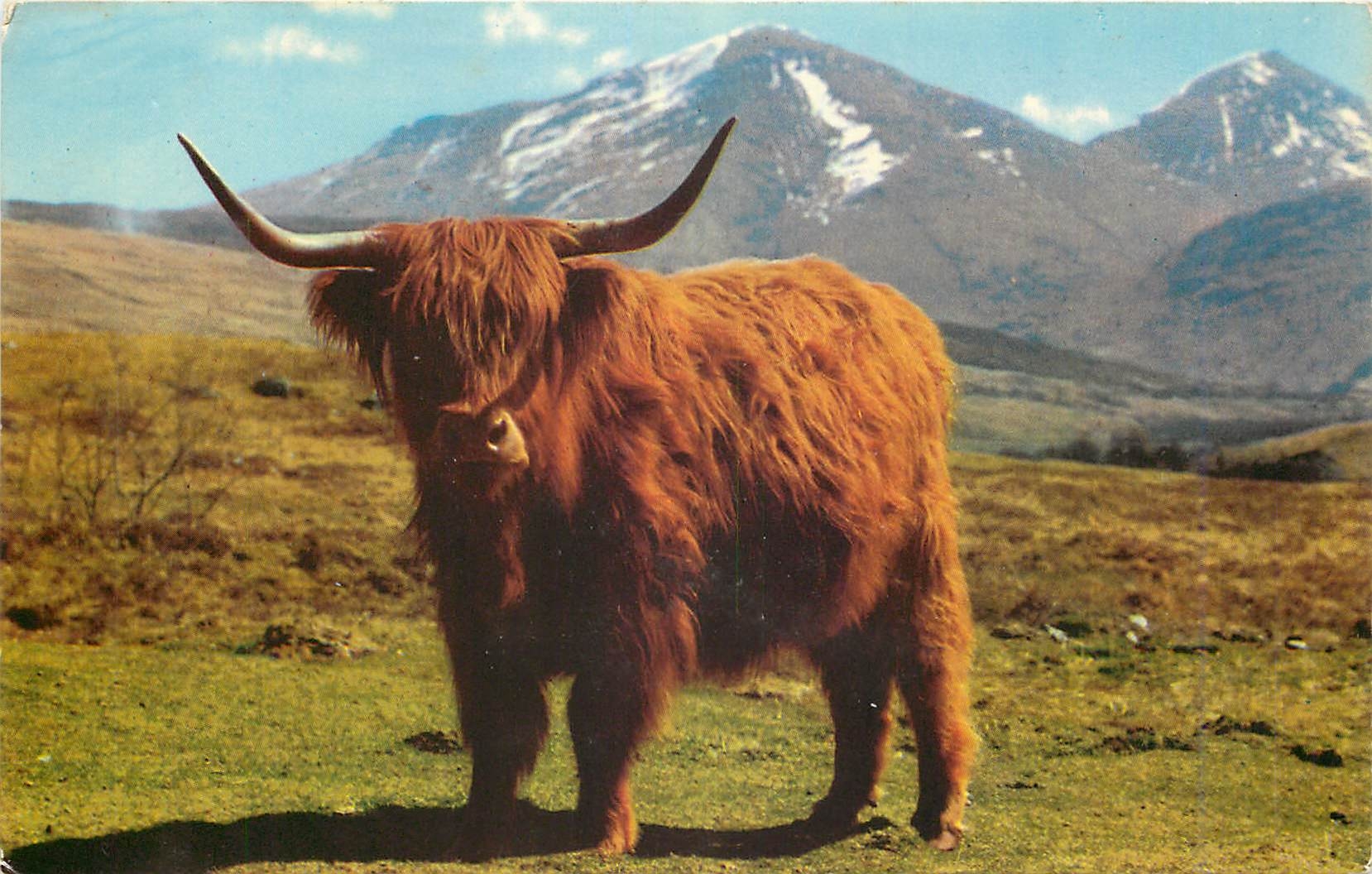 CPM A Monarch of the Glen 