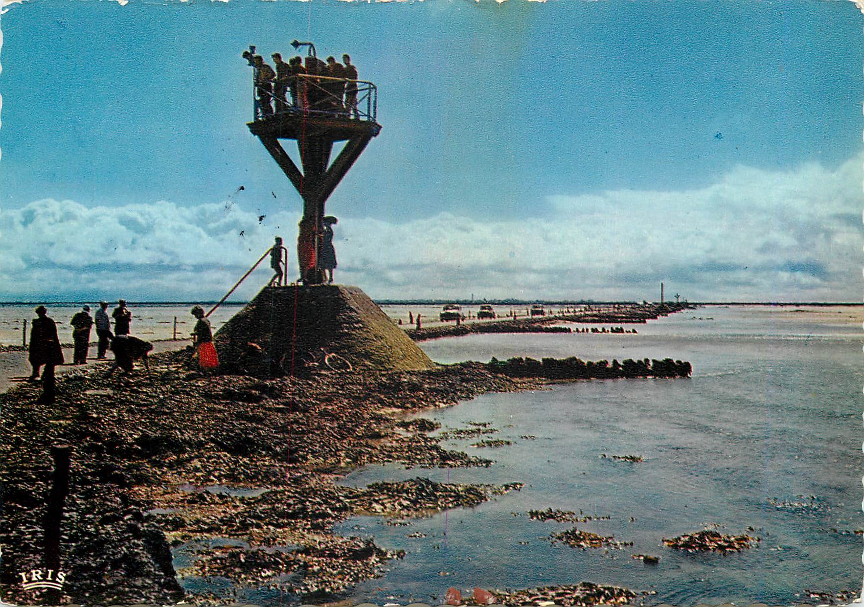 CPM Ile de Noirmoutier La Passage du Gois balise au depart de l'ile 