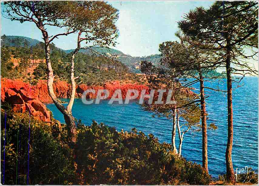 CPM La Cote d'Azur miracle de la nature Massif de l'Esterel Var Criques et calanques festonnent la c
