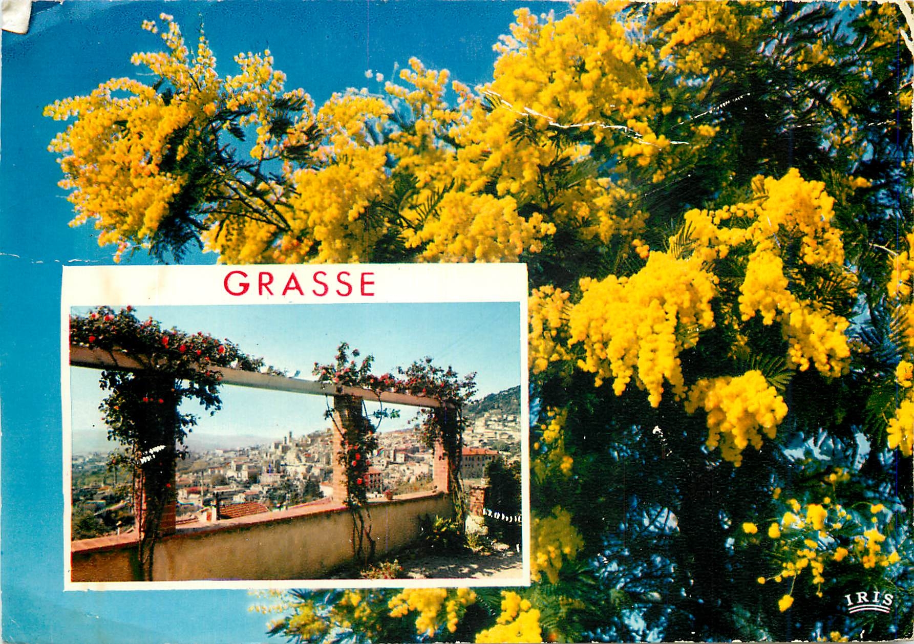 CPM La Cote d'Azur French Riviera Grasse La Cite des Parfums 