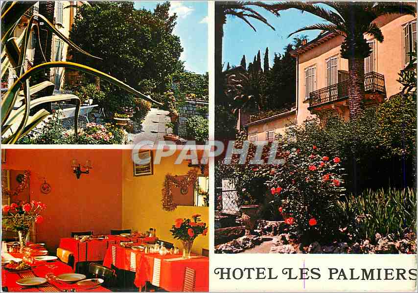 CPM Grasse Alpes Maritimes Hotel Pension Les Palmiers 