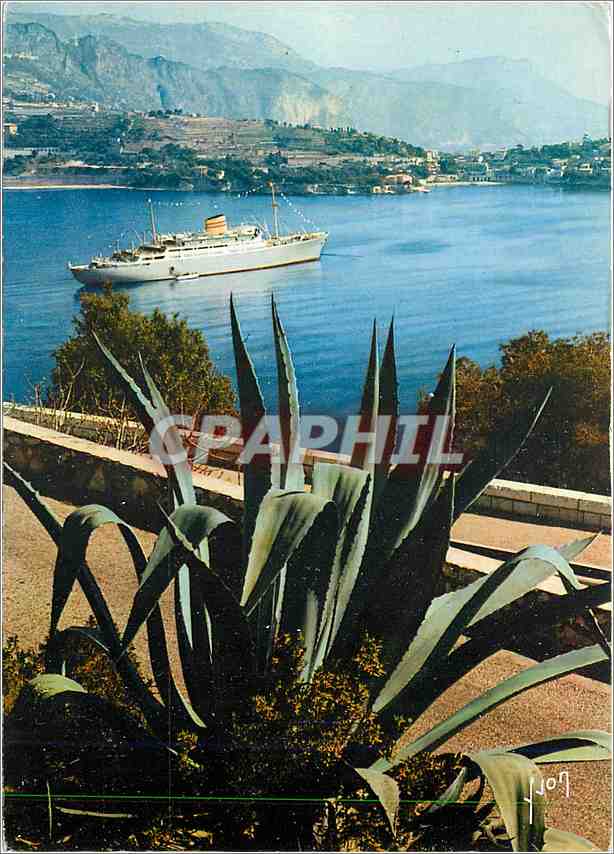 CPM La Cote d'Azur miracle de la nature Villefranche sur Mer AM 