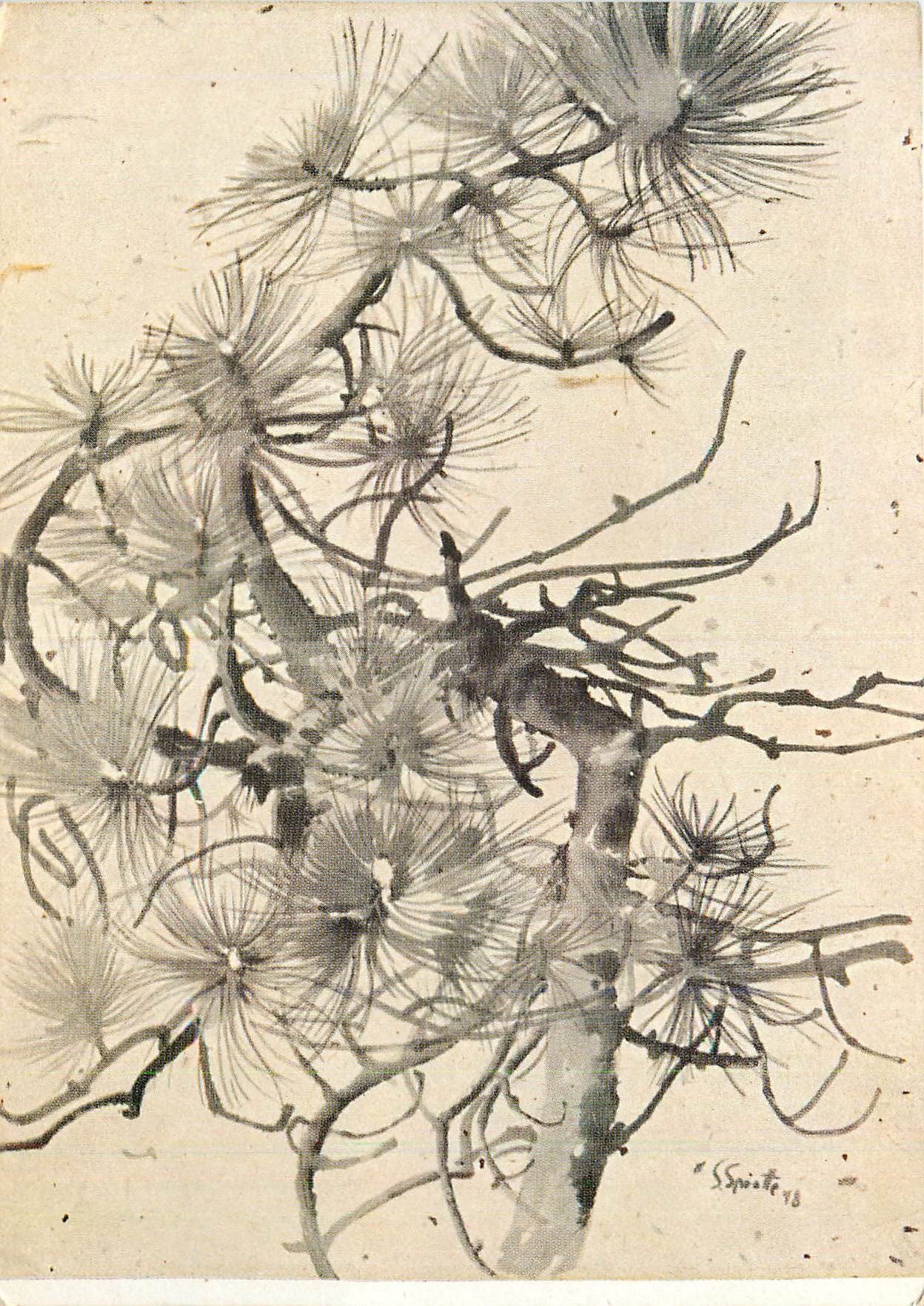 CPM Siegward Sprotte Pine Branch 