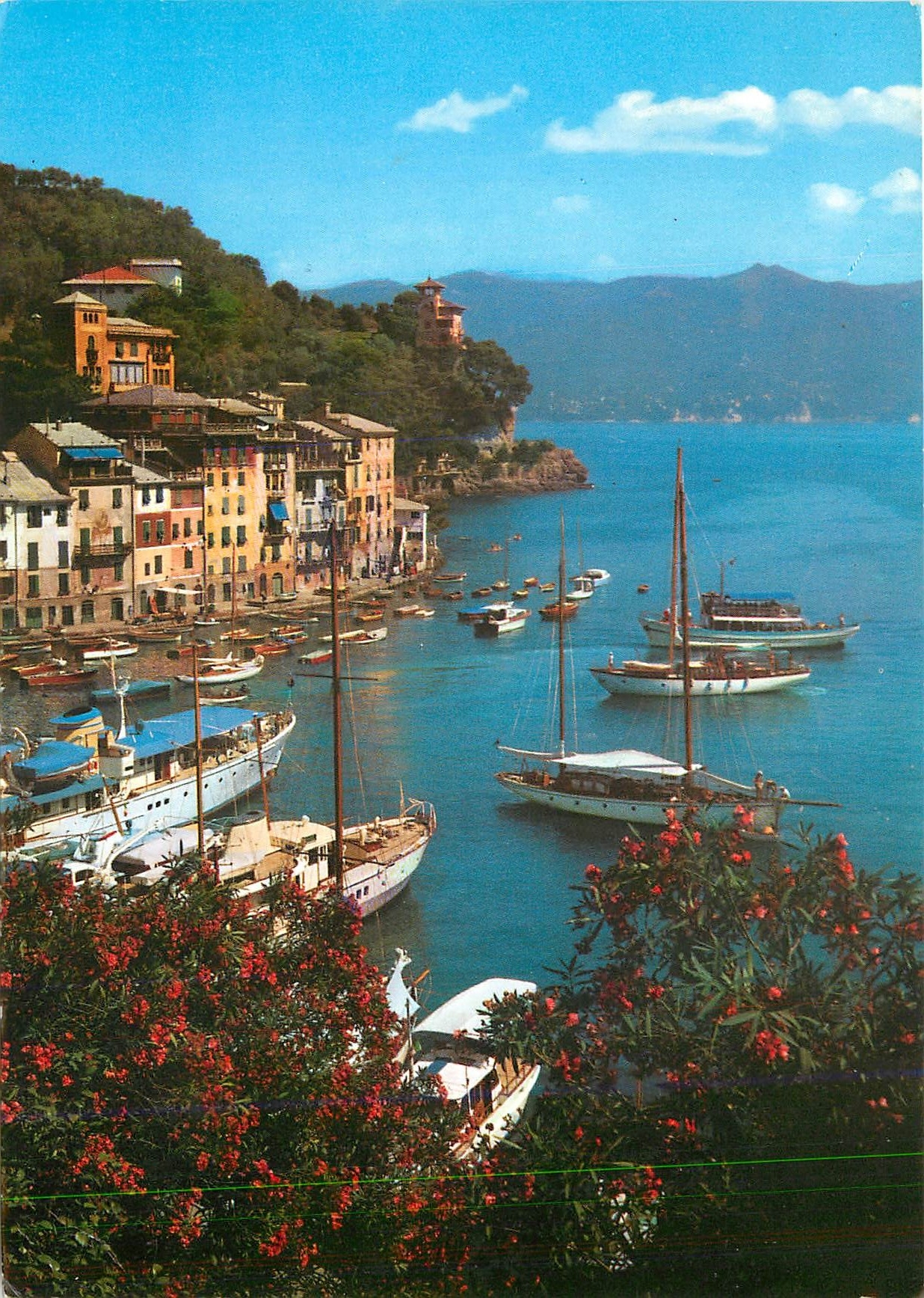 CPM Portofino Vue panoramique 