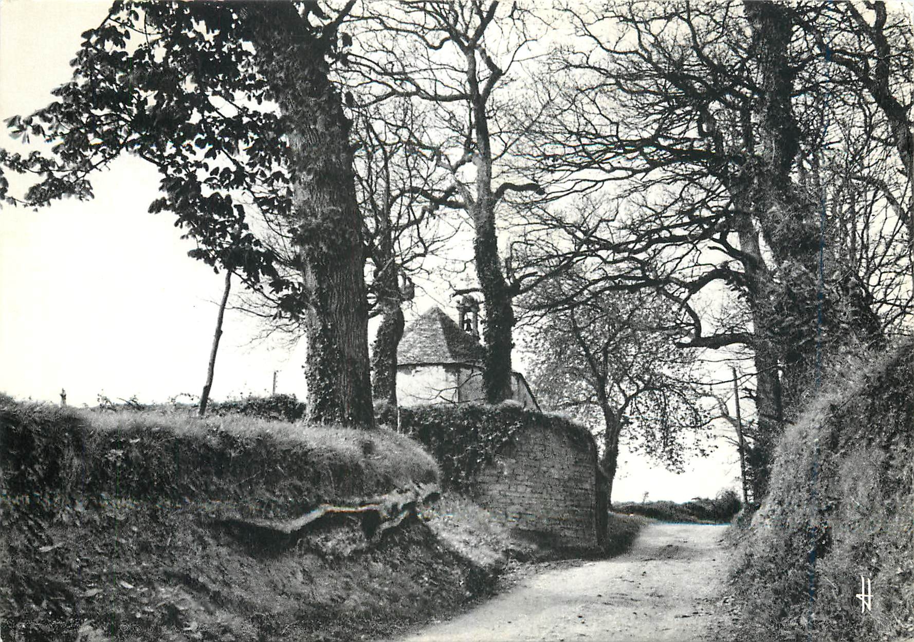 CPM Bretagne Pittoresque Le charme un peu mysterieux des chemins creux 