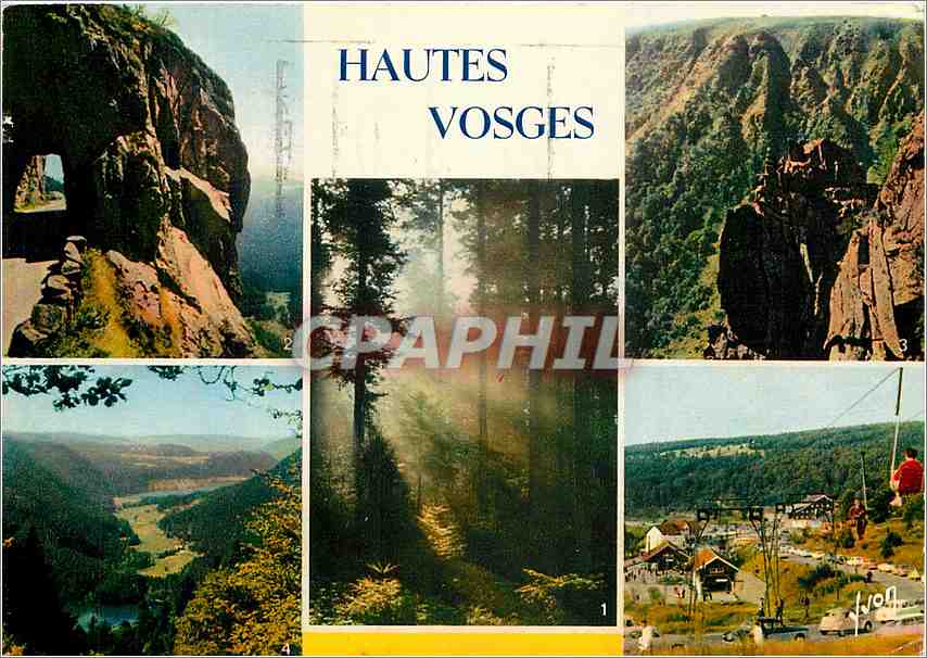 CPM Les Hautes Vosges La Foret Vosgienne Route de la Schlucht Le Hohneck 