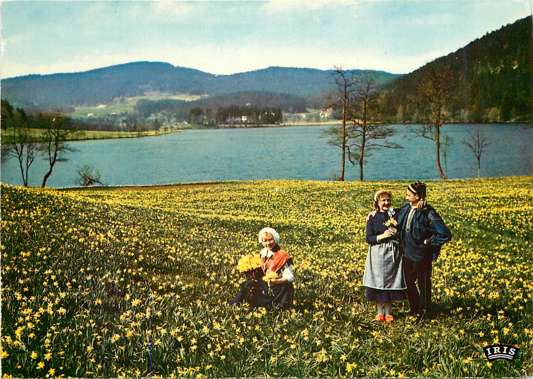 CPM Les Vosges Pittoresques Jeunes Geromois cueillant des jonquilles 