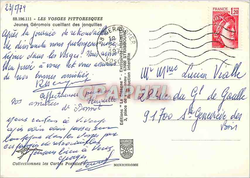 CPM Les Vosges Pittoresques Jeunes Geromois cueillant des jonquilles  — Verso