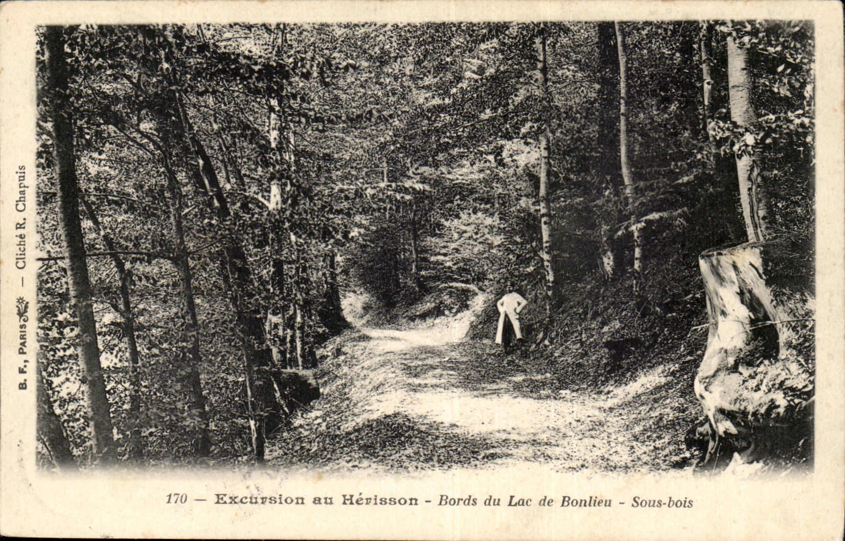 Excursion au Hérisson — Bords du Lac de Bonlieu — Sous-bois — B. F., Paris, n° 170