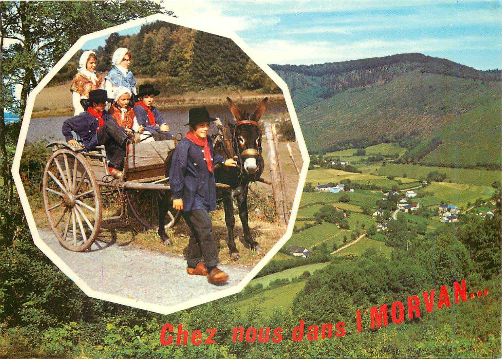 CPM Le Morvan TouristiqueAne Mule