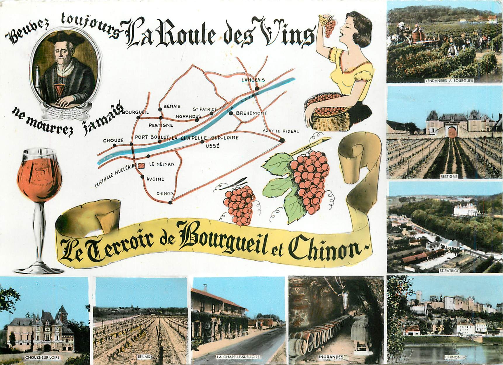 CPM La Route des Vins Le Terroir de Bourgueil et Chinon Rabelais