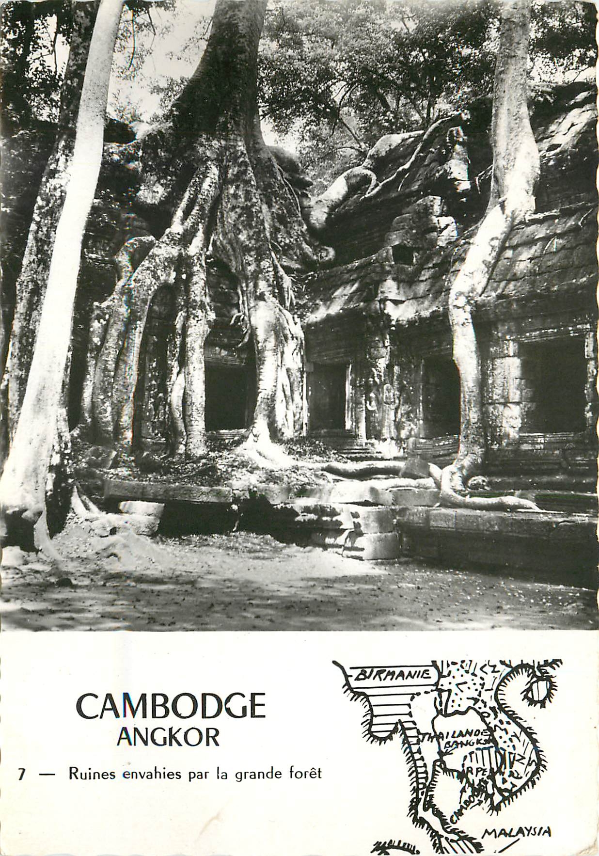 CPM Cambodge Angkor ruines envahies par la grande Foret 