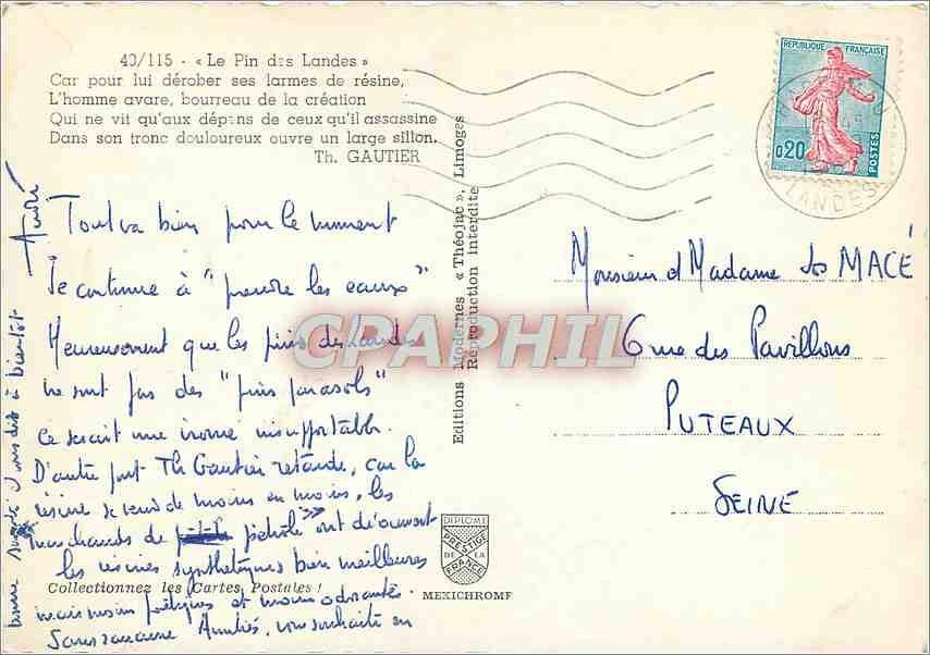 Le Pin des Landes — Éditions IRIS — n°40/115 — Verso