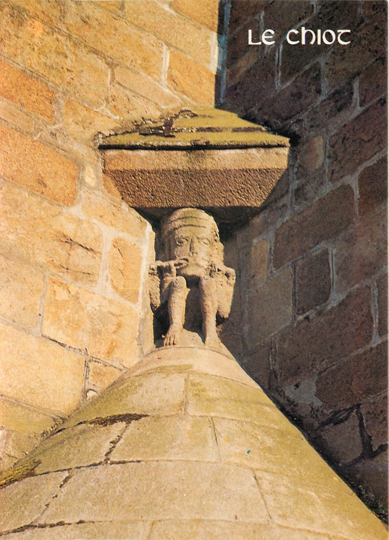 CPM La Bretagne en coulerus La Cathedrale de St Brieuc Le Chiot