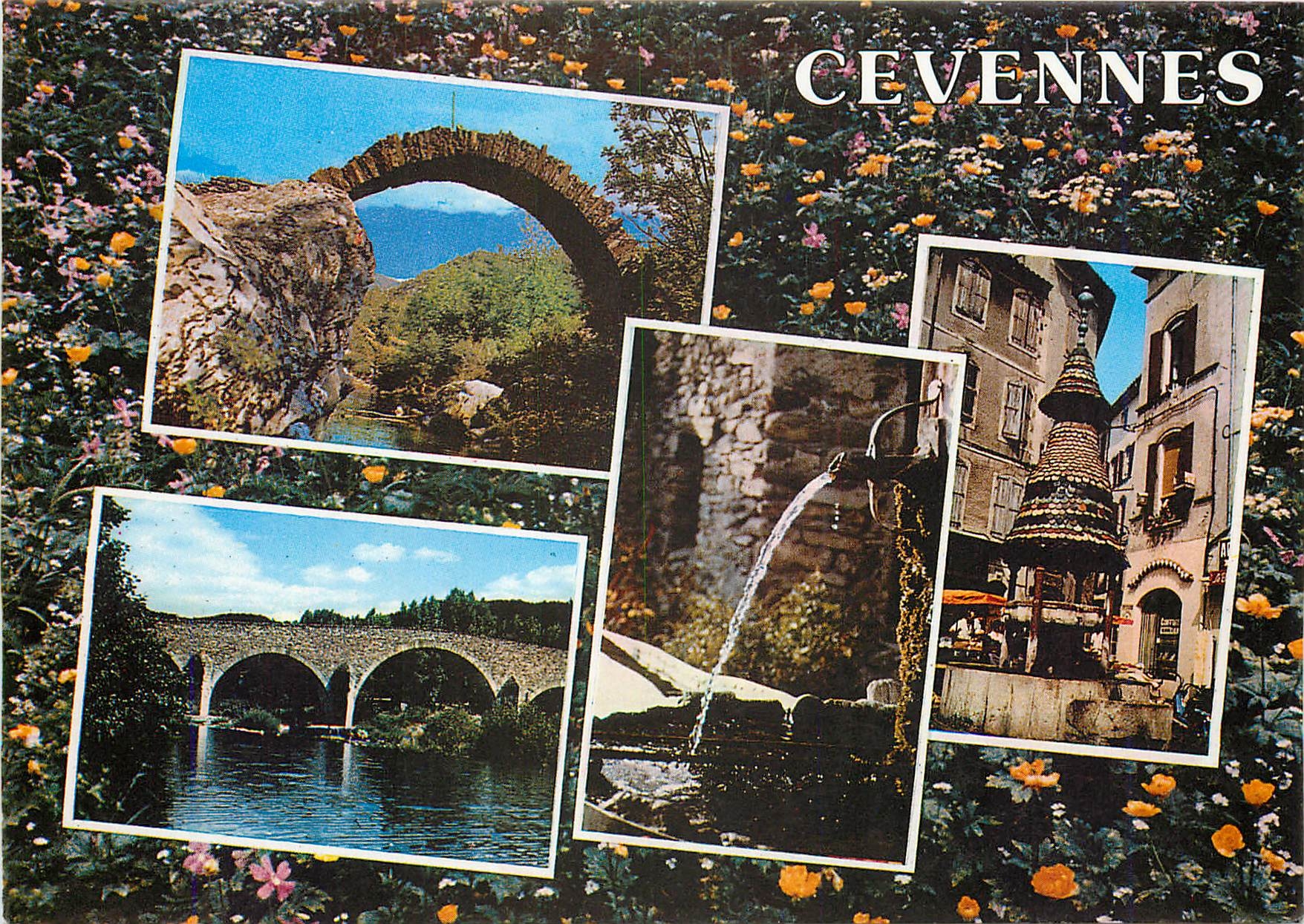 CPM Lumiere et Coulerus des Cevennes Anduze et Saint Jean du Gard Divers aspects