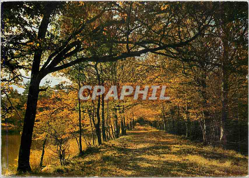 CPM Forets et Riviere de France Couleurs Naturrelles