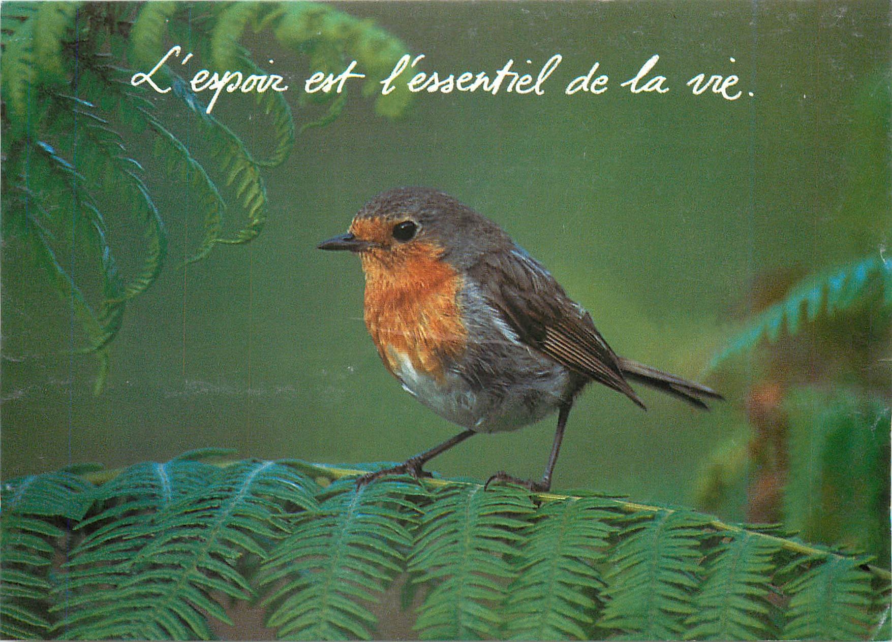 CPM L'Espoir et l'essentiel de la vie