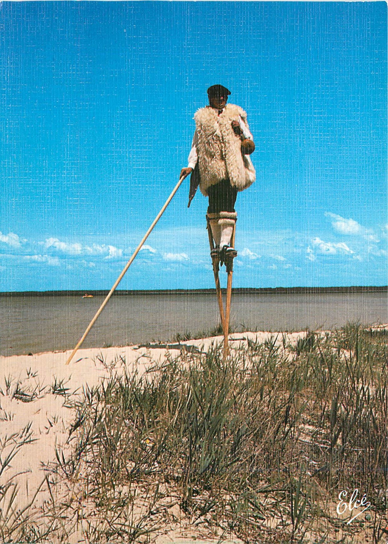 CPM Landes L'echassier landais dans les dunes