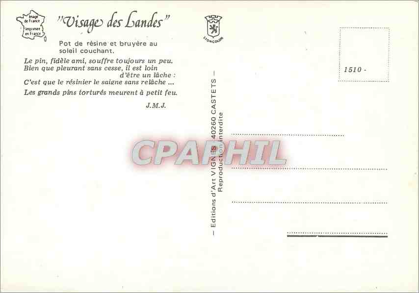 CPM Visages des Landes Pot de resine et bruyere au soleil couchant — Rückseite