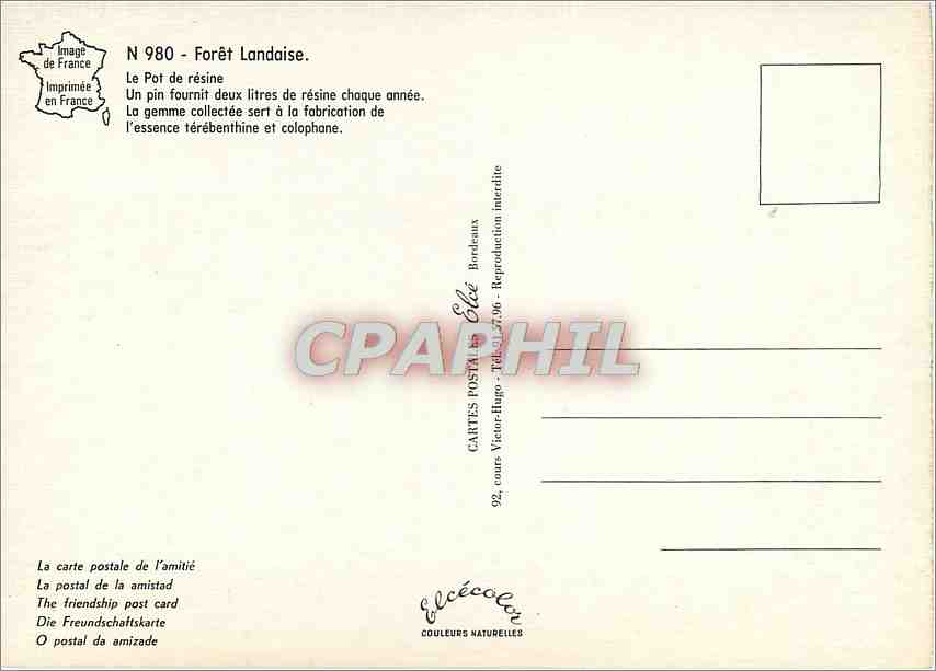 CPM Foret Landaise Le Pot de resine Un pin fournit deux de resine chaque annee — Verso