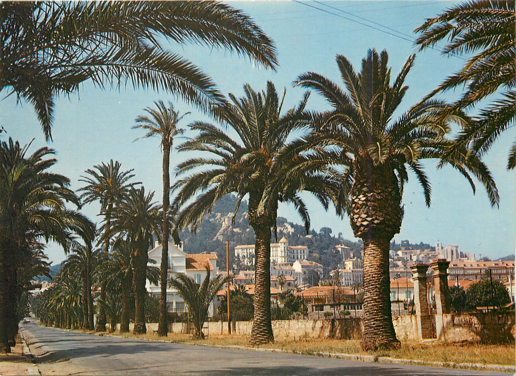 Hypères les Palmiers — Avenue Alexis-Godillot — Couleurs Naturelles