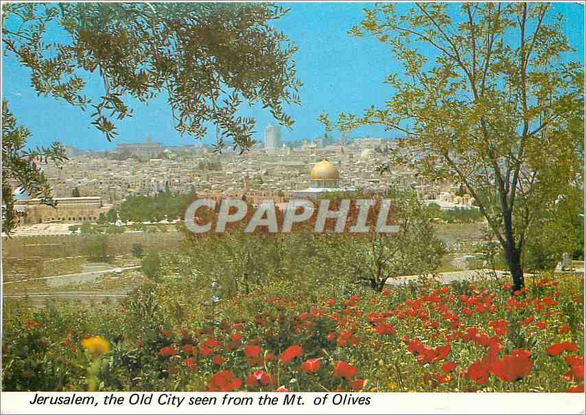 CPM Jerusalem la Vieille ville vue du Mt des Olivers