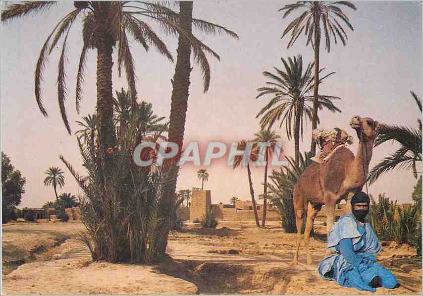 CPM Maroc Infini Chamelier du Sud