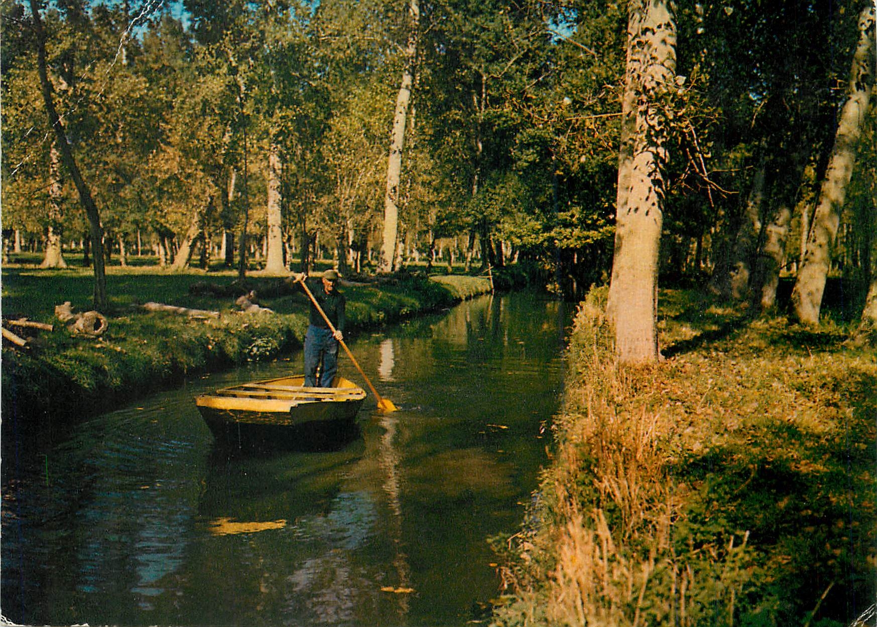 CPM Forets et Rivieres de France