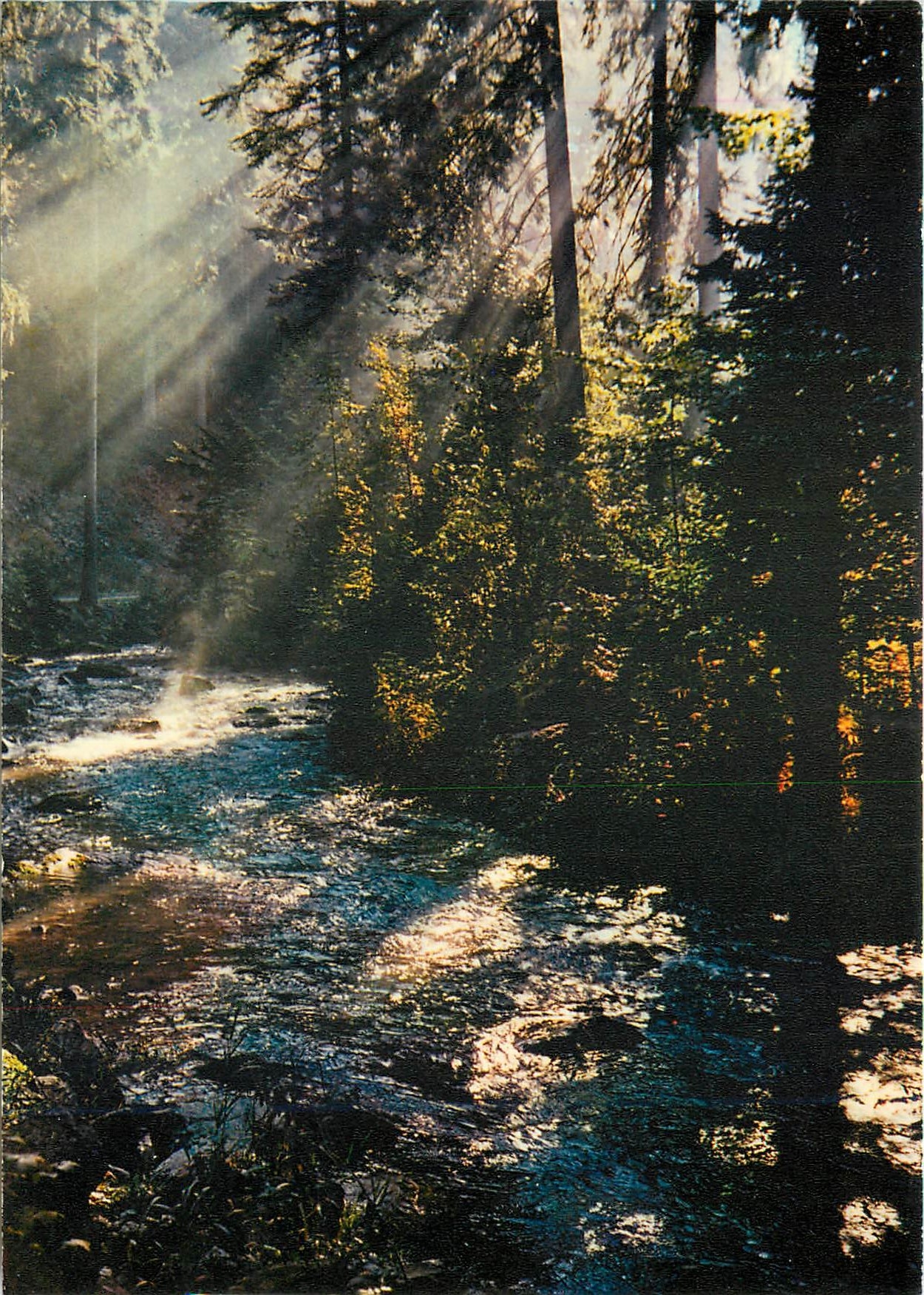 CPM Les Vosges Pittoresques Ombres et Lumieres sur la vologne
