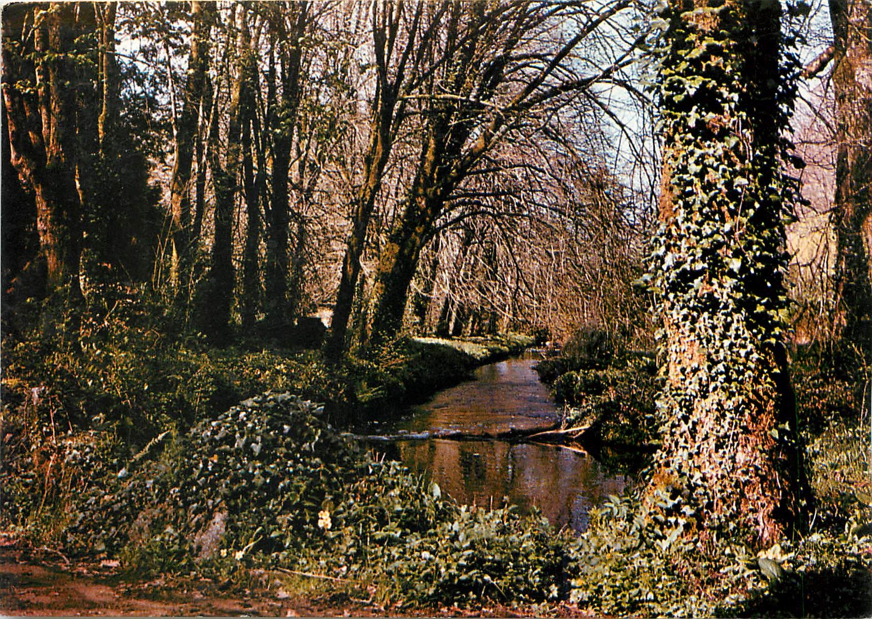 CPM Aux Reflets de l'Argoat les barmonies limpides