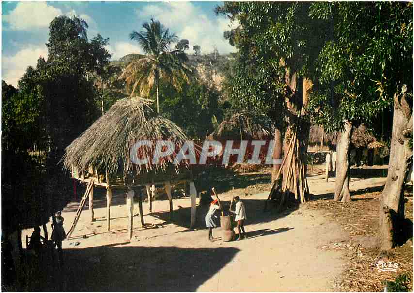 CPM Haiti Village de Paysans
