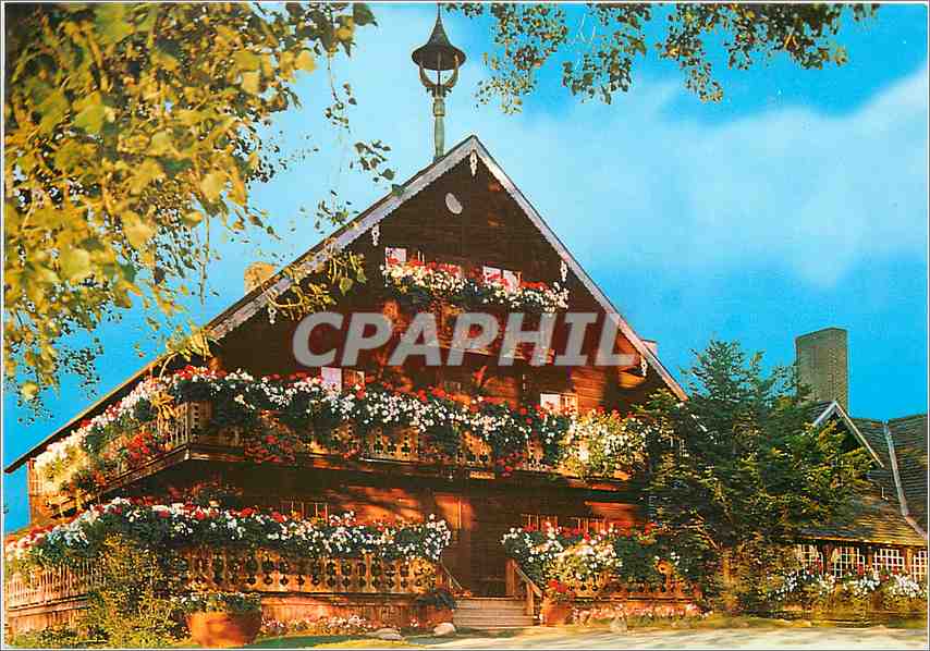 CPM Original Trapp Familu Lodge Stome Vermont