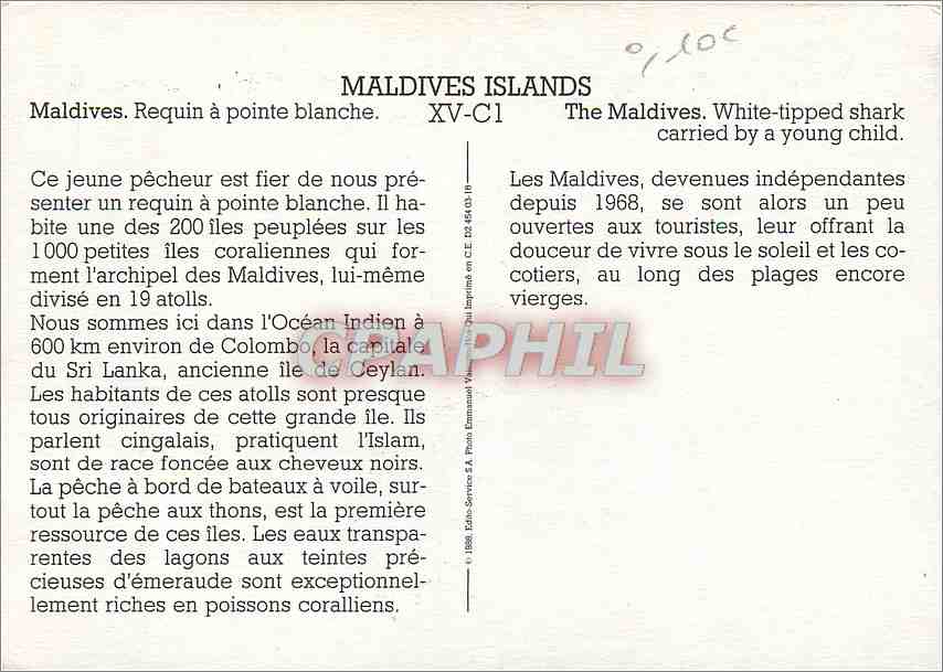 CPM Maldives Islands Maldives Requin a pointe blanche — Rückseite