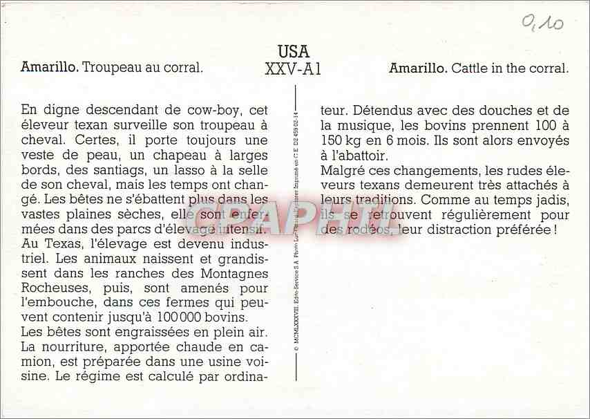 Amarillo. Troupeau au corral — Élevage texan — Éditions S.A. Rivier (CPAPHIL XXV-A1) — Rückseite