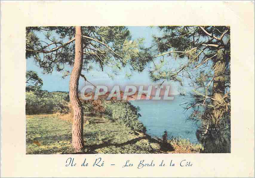 CPM Ile de Re Les Bords de la Cote