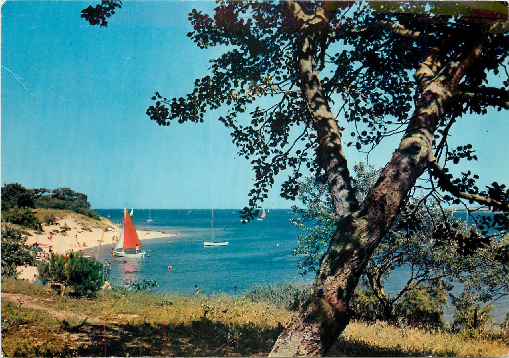 CPM Ile de Re Pointe de Troussechemise a l'entree du Foer d'Ars