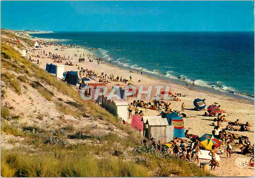 CPM Ile de Re (Ch Mme) Le Bois Plage en Re Plage de la Gollandiere