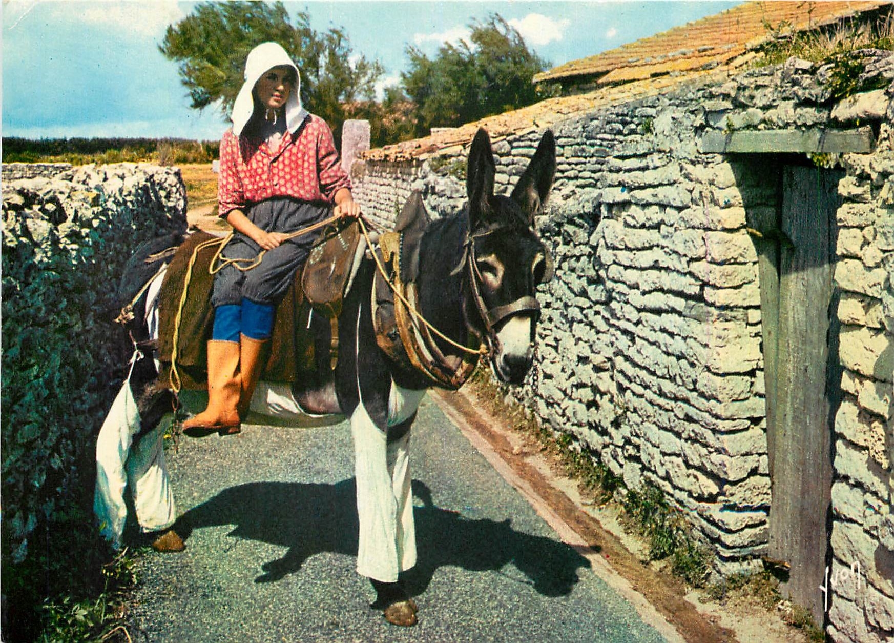 Femmes à cheval sur un âne — Ile-de-Ré — Éditions Arcadura