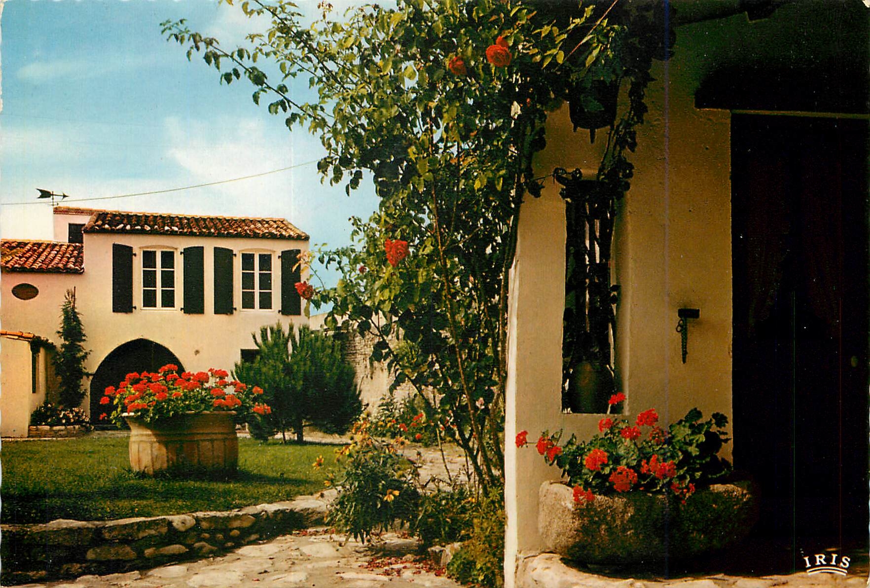 CPM Ile de Re La Couarde Maison Fleurie