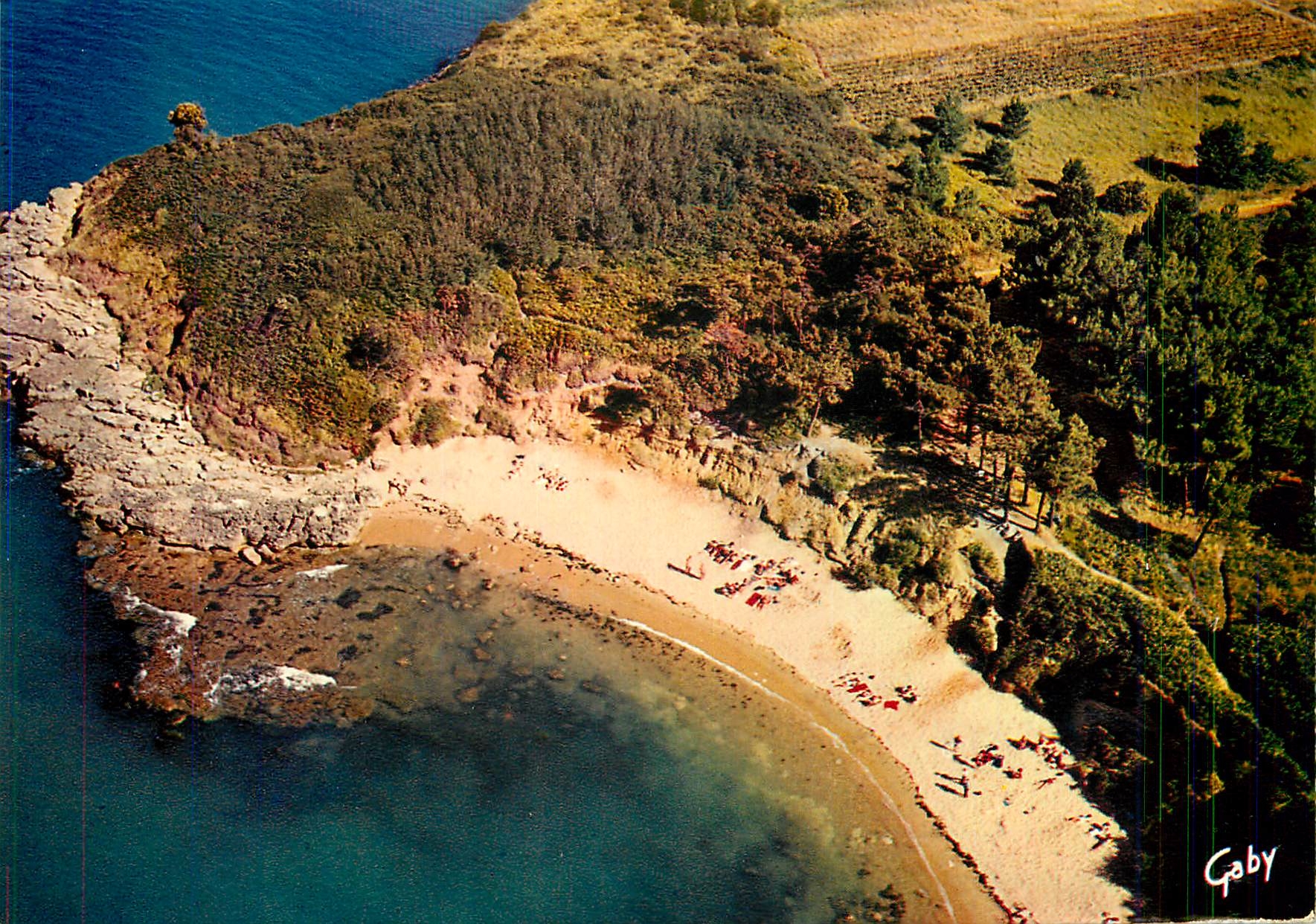 CPM La France vue du ciel Ile d'Aix (Chte Mme) La Bale du Sable jaune site Sable d'Or