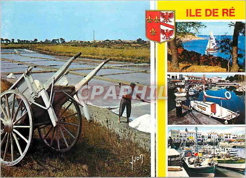 CPM Ile de Re Plage de Trousse Chemise Port de Saint Martin
