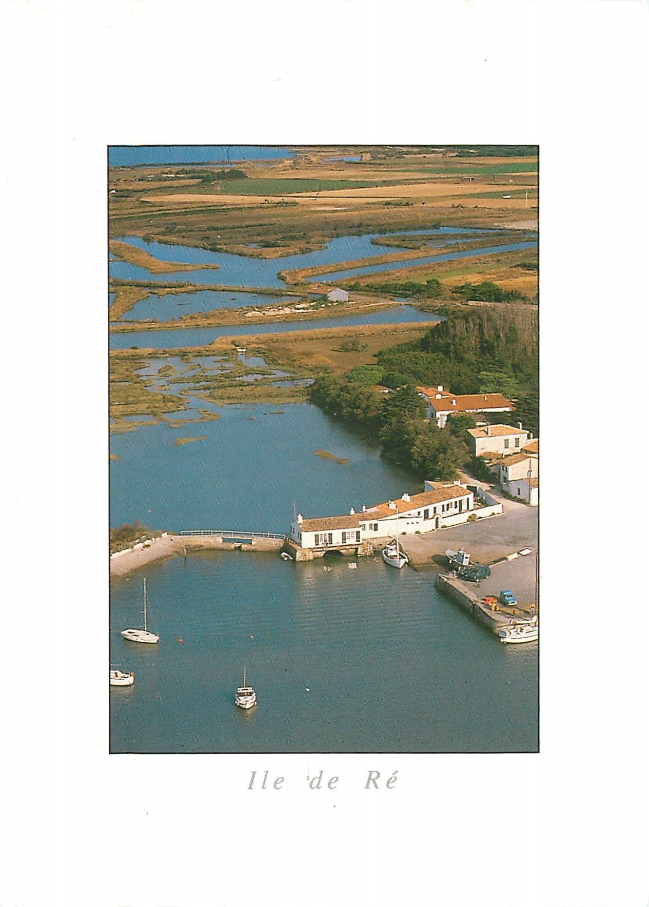 CPM Ile de Re (Chte Mme) Loix en Re le Port