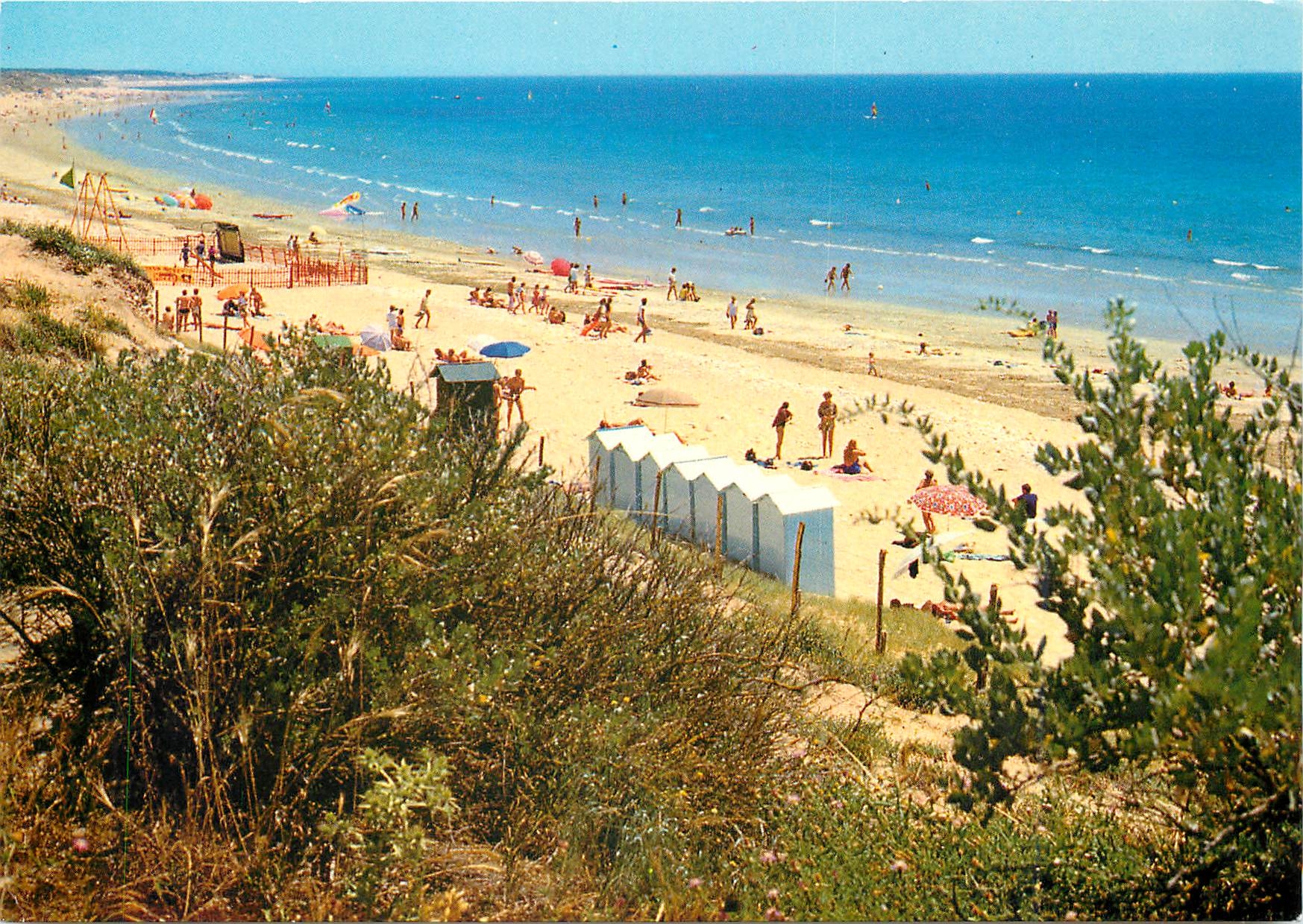 CPM Ile de Re (Chte Mme) Le Bois Plage La Plage