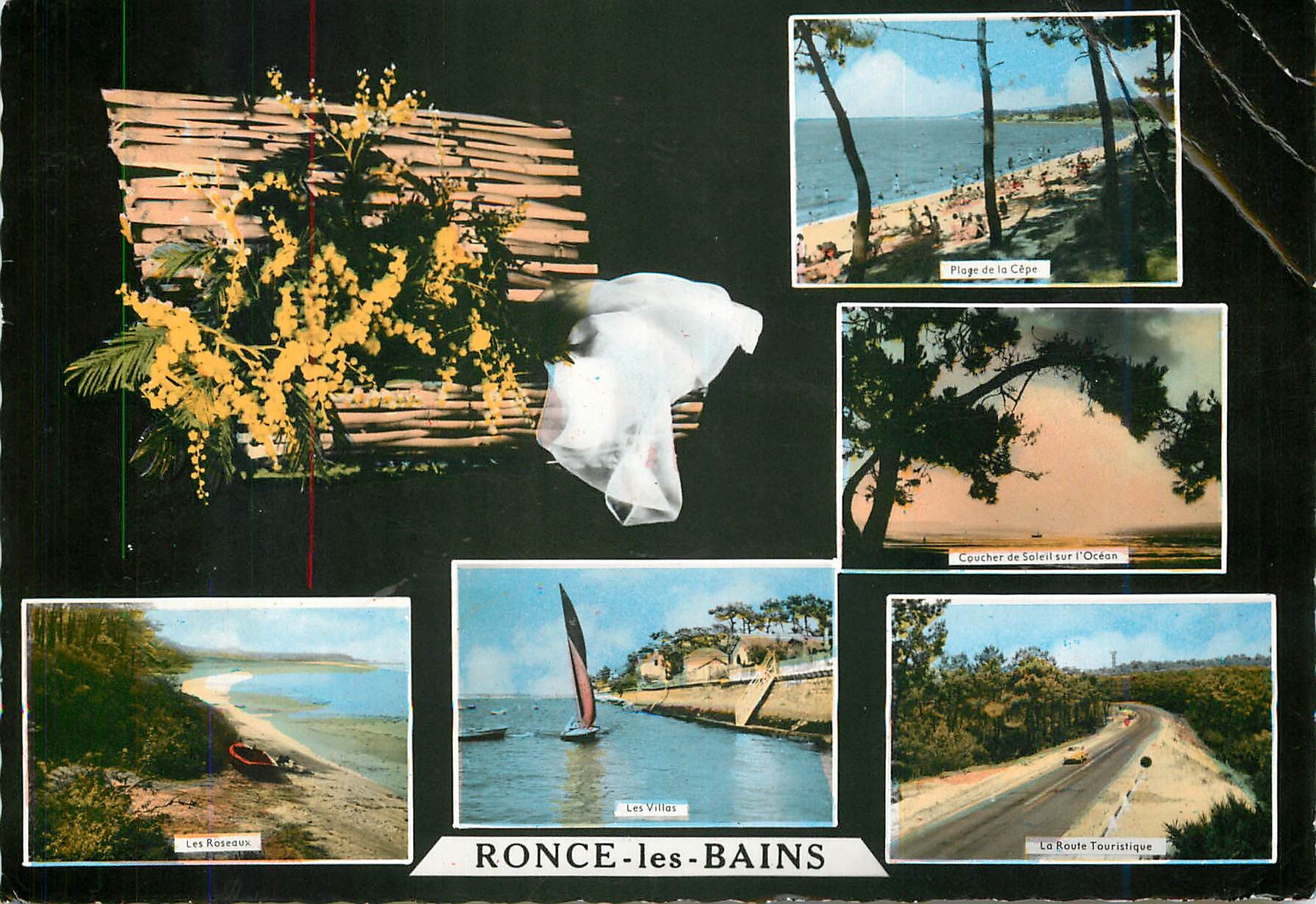 CPM Ronce les Bains Plage de la Cepe Coucher de soleil Les villas