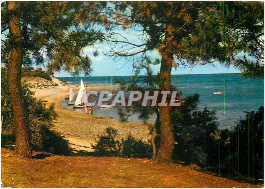 CPM Ile de Re (Chte Mme) Les Portes Plage de Trousse Chemise