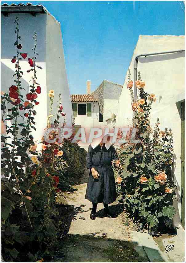 Femme en Kiss-not dans la ruelle fleurie — Ile de Ré — éditeur CPAPHIL, n° 1608