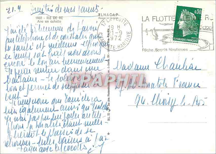 CPM Ile de Re (Chte Mme) Ane en culotte — Back