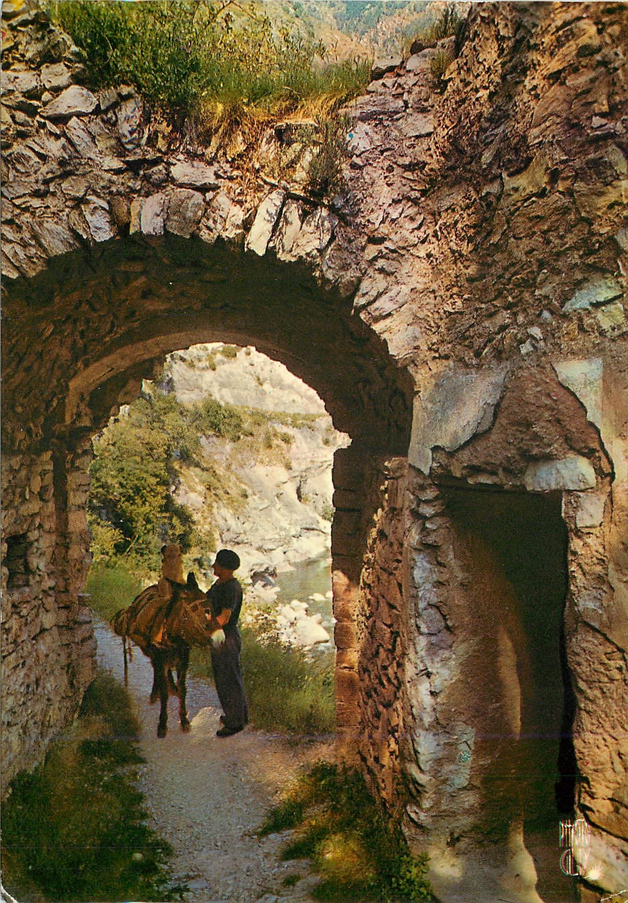CPM Paysages de France Scene typique de Provence cote D'azur