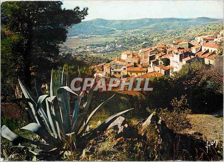 CPM La Cote d'Azur miracle de la nature Bormes les Mimosas (Var) 